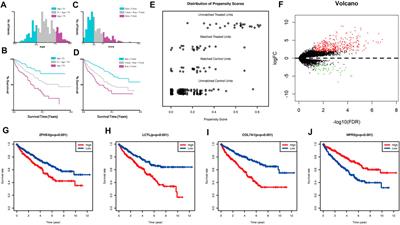 Sarcomatoid-associated gene risk index for clear cell renal cell carcinoma